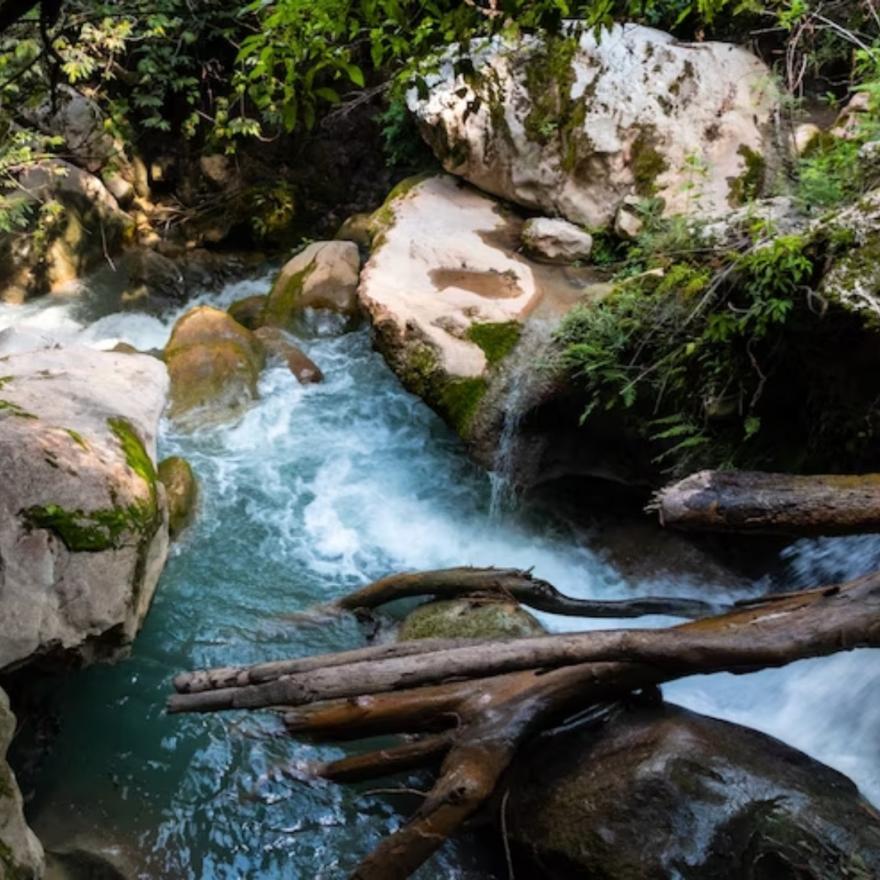 Menjaga Mata Air : Menjaga Kehidupan